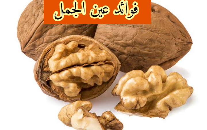 فوائد عين الجمل (الجوز)